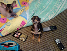 ���� � ����