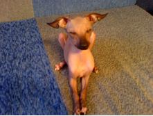 ��������� �������