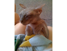 ������ ����� ����)