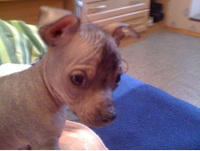 ����� ���, �����