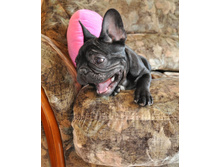 ���� 100.jpg