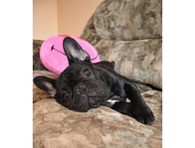 ���� 088.jpg