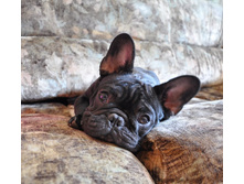 ���� 092.jpg