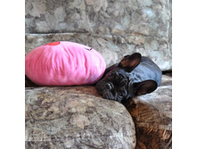 ���� 093.jpg