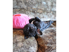 ���� 094.jpg