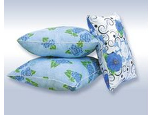 ������� ����������