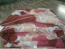 ������ ����������