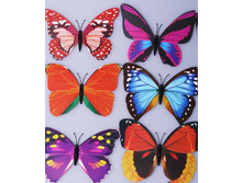 ������� �� �������.jpg