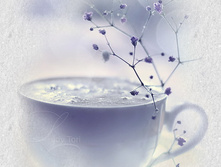 ������� ��� razvedchica.jpg