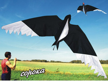 ������, 180���