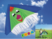 ����, 210���