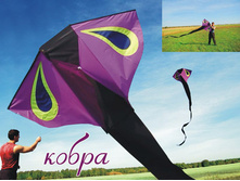 �����, 280���