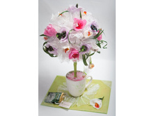 ������ � ��� - �������