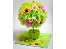 ������ ������ - �������