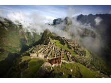 ����-�����, ���������� � ����� ����� �����, ����