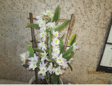 ���������� ������.JPG