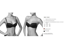 IBD15003 213 ���..jpg