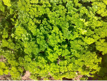 �������� ������� )