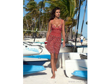 WQ091112 �herry Brandy