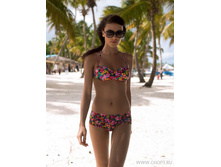 WPB/WH101106 Garofano