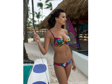 WDLS 231103 Calendula