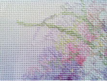 ���� ���������.jpg