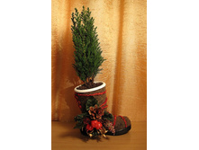 ���������� ��������� - 1