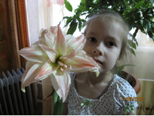 ����������� ��������