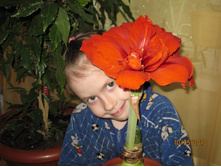 ����������� ��� ������