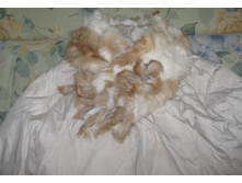 ����������� 004.jpg