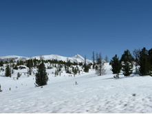 ��, ���� �� ����! � �� ��� � �������!