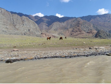 ������� �����