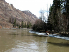 � ������ ��� ����� � �����... � ���� �� ���?