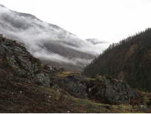 �������� �����...