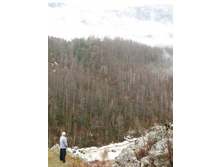 � � ��������� �����...