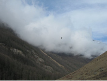 ������������, �����, ������ �����.