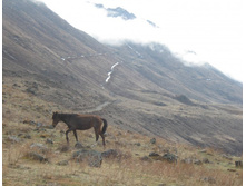 ��, ������-��, �������!