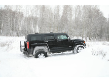 ����������� 100.jpg