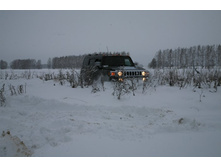 ����������� 130.jpg