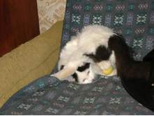 ����� 013.jpg