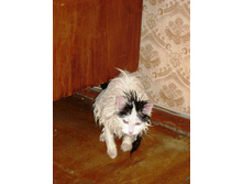 ����� 028.jpg