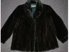 ������� ����������.JPG