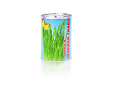 ������ �����