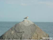 ����� ������ :)