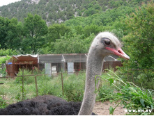 ���������� �����