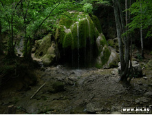 ������� \"���������� �����\")