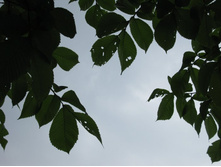 ���������� �����