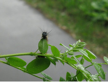 ����������� �������� :)