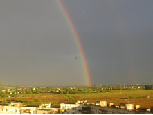 ������-����