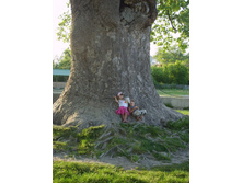 ����������� ������